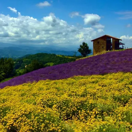 Peter Pan Castellino Tanaro