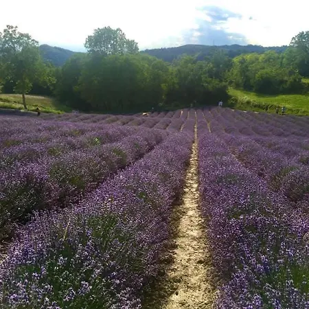 Holiday home Peter Pan