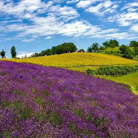 Peter Pan Holiday home *